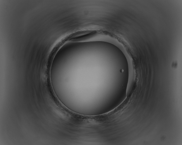X0000091450392200708301814