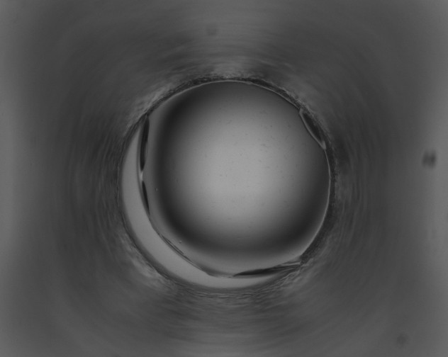 X0000091450393200708301814