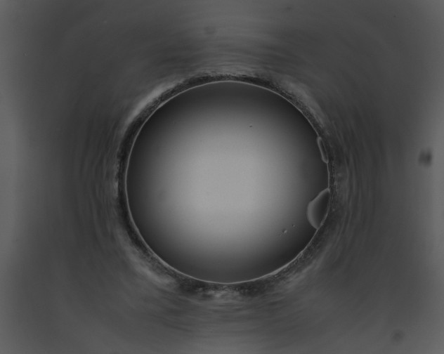 X0000091450395200708301814