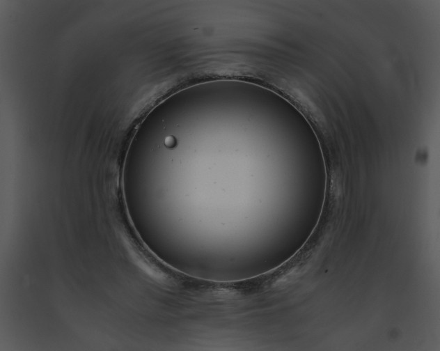 X0000091450397200708301814