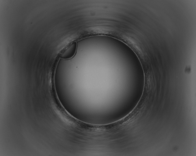 X0000091450398200708301814