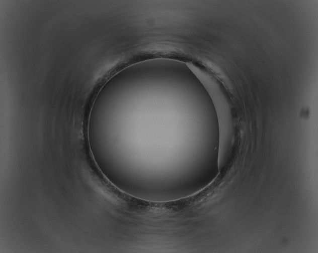 X0000091450399200708301814