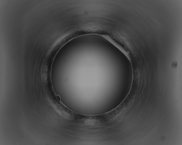 X0000091450400200708301814