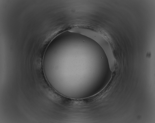 X0000091450401200708301814