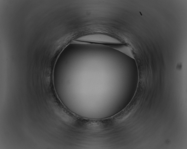 X0000091450402200708301814