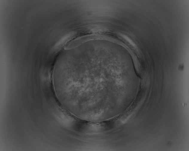 X0000091450405200708301814
