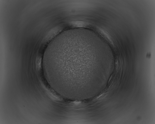 X0000091450406200708301814