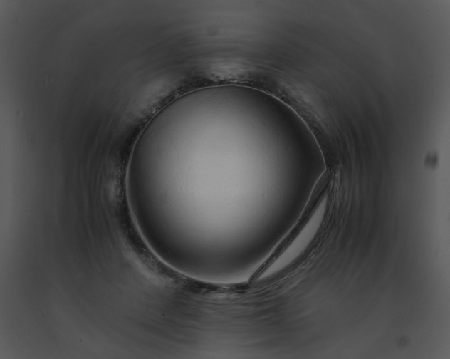 X0000091450408200708301814