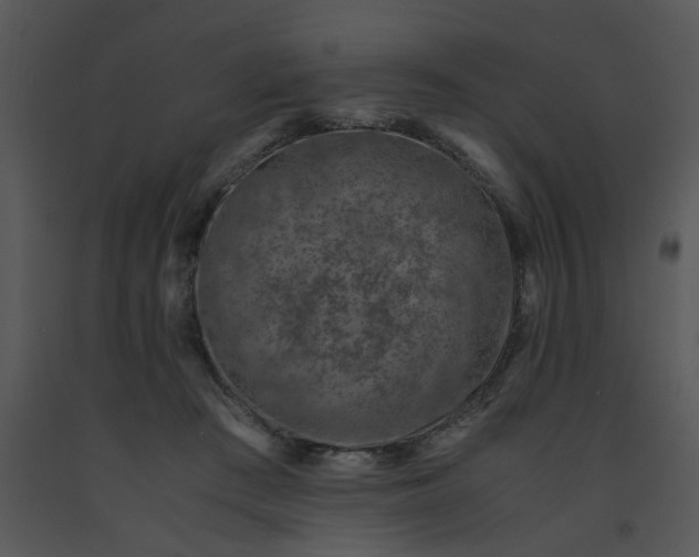 X0000091450409200708301814