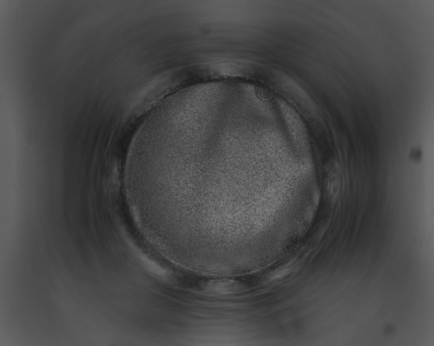 X0000091450410200708301814