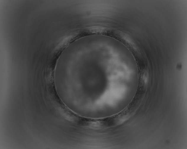 X0000091450411200708301814