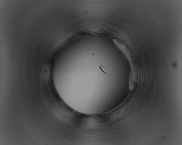 X0000091450412200708301814