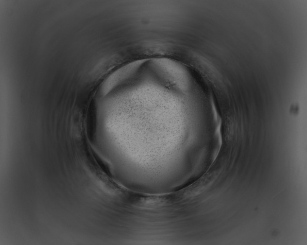 X0000091450414200708301814