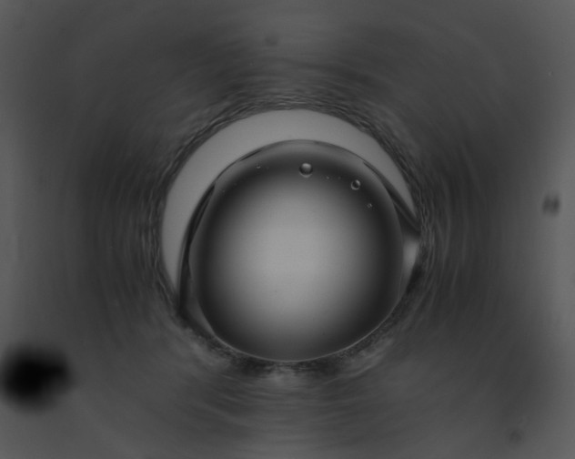 X0000091450416200708301814