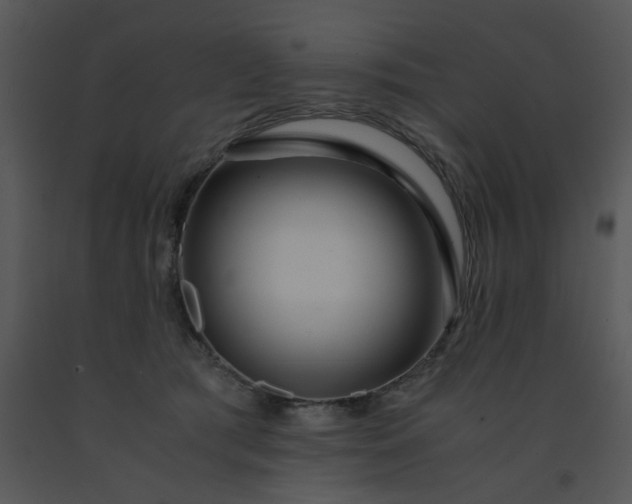 X0000091450417200708301814