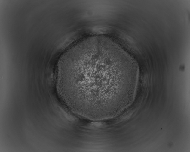X0000091450418200708301814