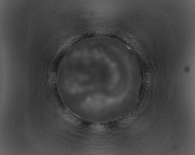 X0000091450419200708301814