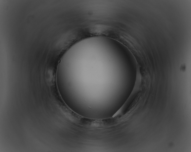 X0000091450420200708301814