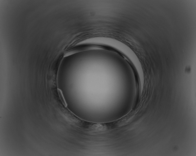 X0000091450421200708301814