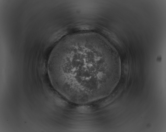 X0000091450422200708301814