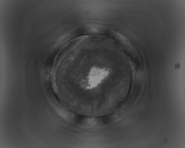 X0000091450423200708301814