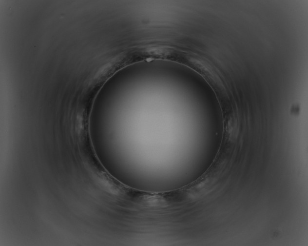 X0000091450424200708301814