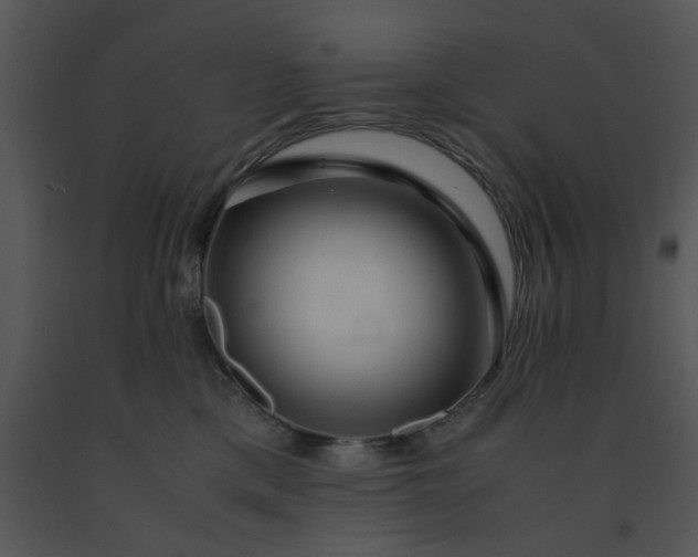 X0000091450425200708301814