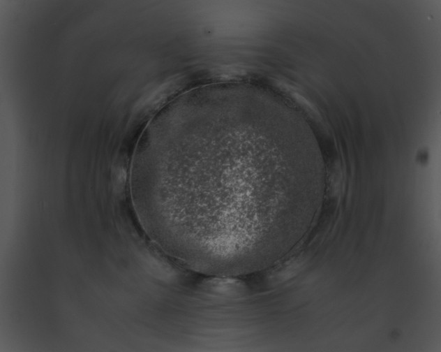 X0000091450427200708301814