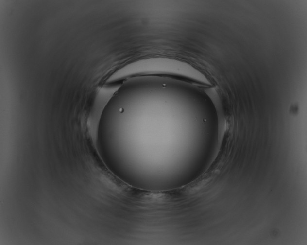 X0000091450428200708301814