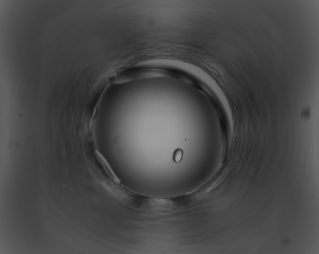 X0000091450429200708301814