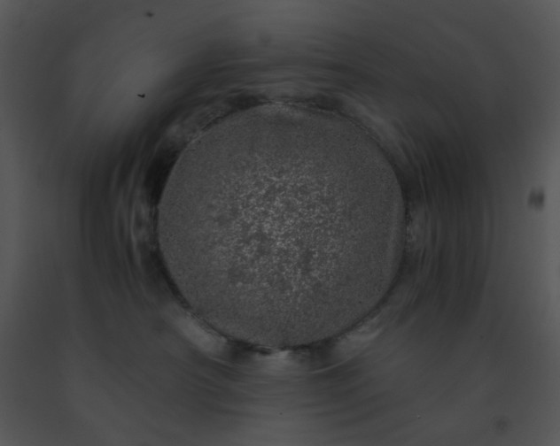 X0000091450430200708301814