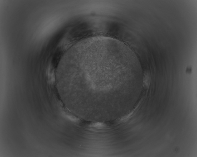 X0000091450431200708301814