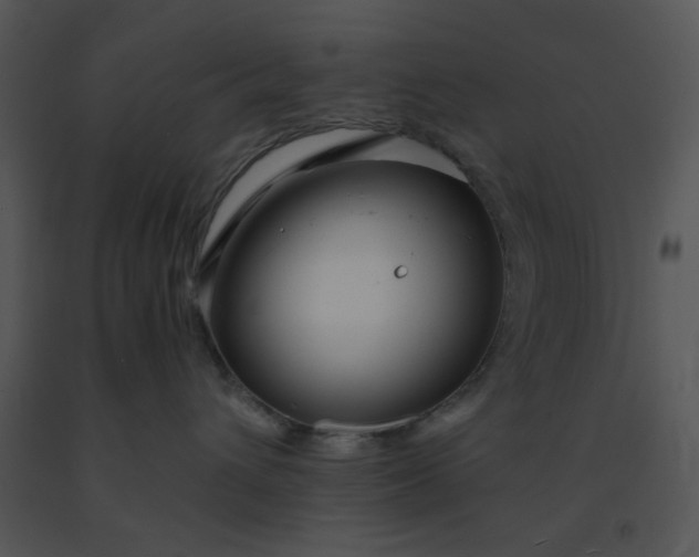 X0000091450432200708301814