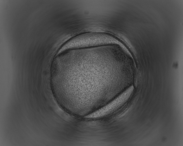 X0000091450433200708301813