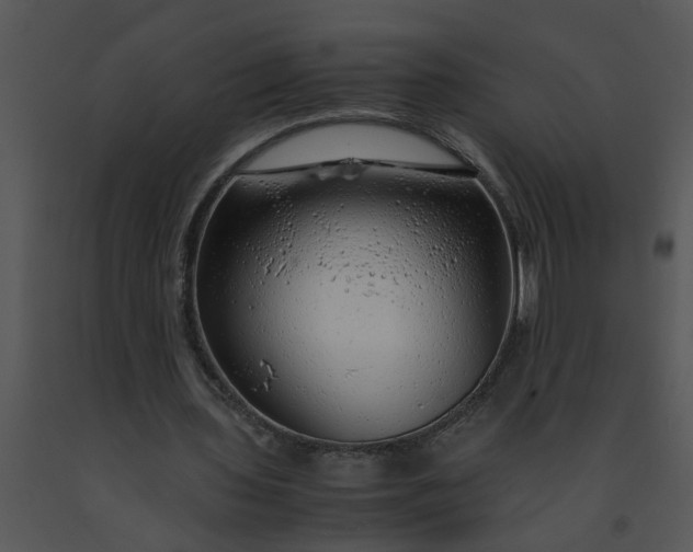 X0000091450435200708301813