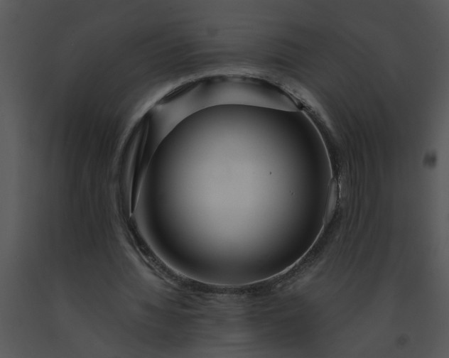 X0000091450436200708301813