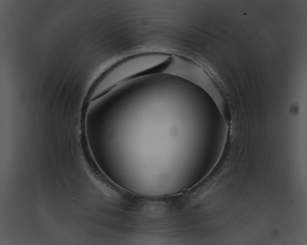 X0000091450438200708301813