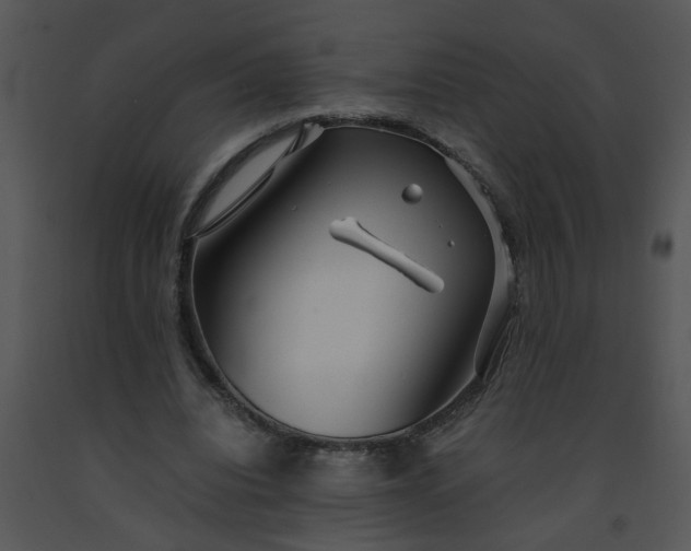 X0000091450440200708301813