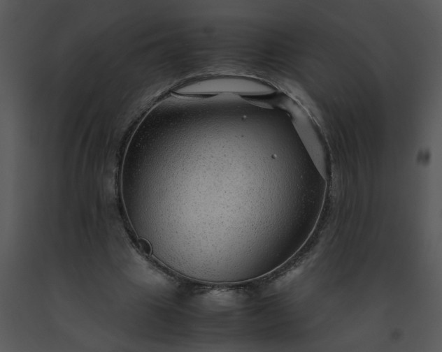 X0000091450441200708301813