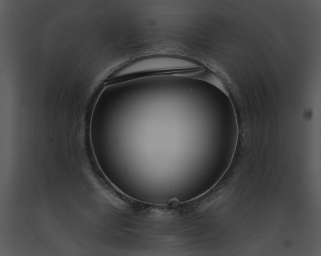 X0000091450442200708301813
