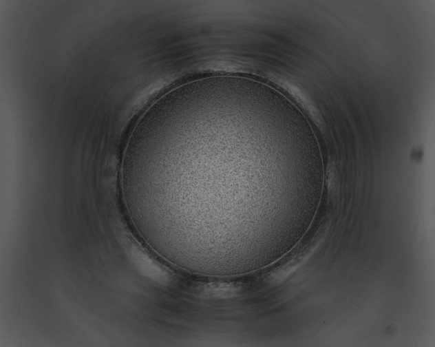 X0000091450445200708301813