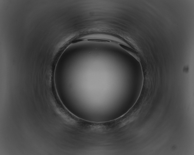 X0000091450446200708301813