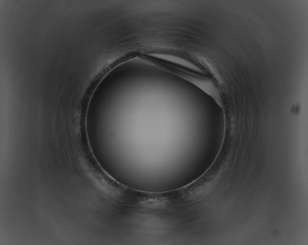 X0000091450447200708301813