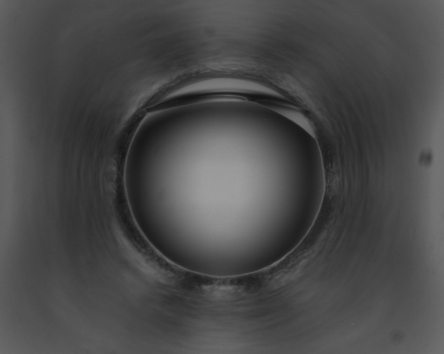 X0000091450448200708301813