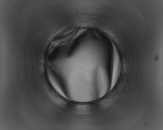 X0000091450450200708301813
