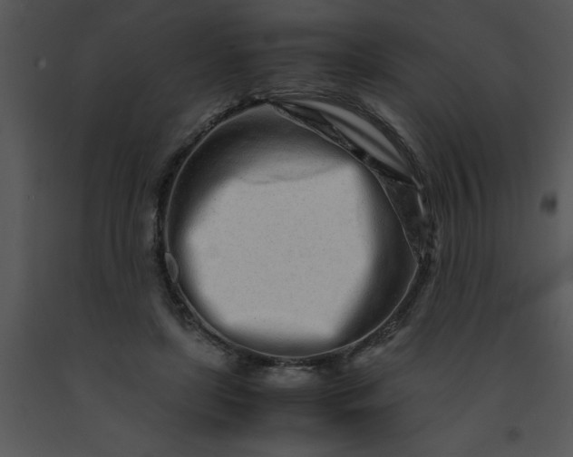 X0000091450451200708301813