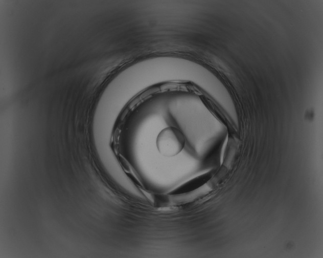 X0000091450452200708301813