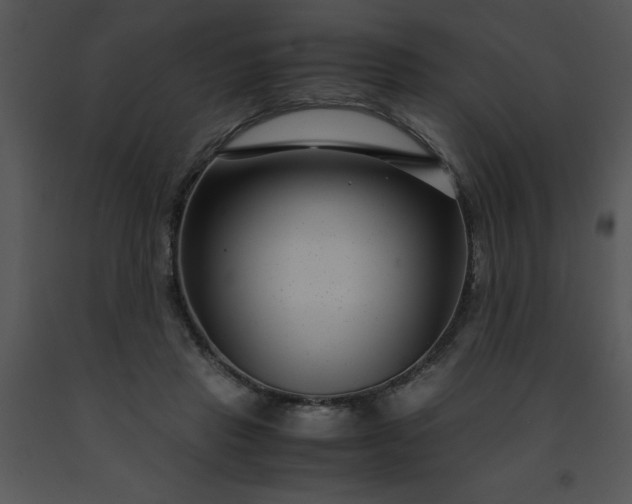 X0000091450453200708301813