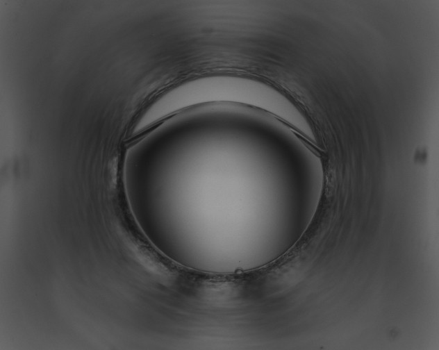 X0000091450454200708301813