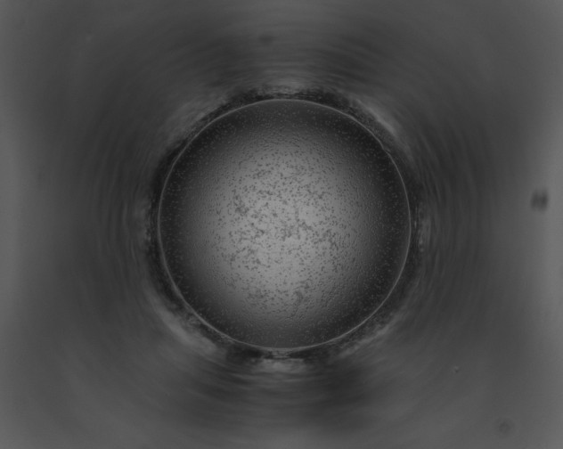 X0000091450455200708301813
